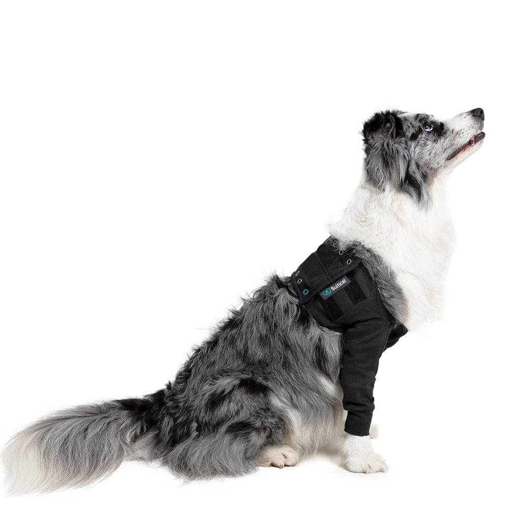 Suitical Recovery Double Sleeve® Dog