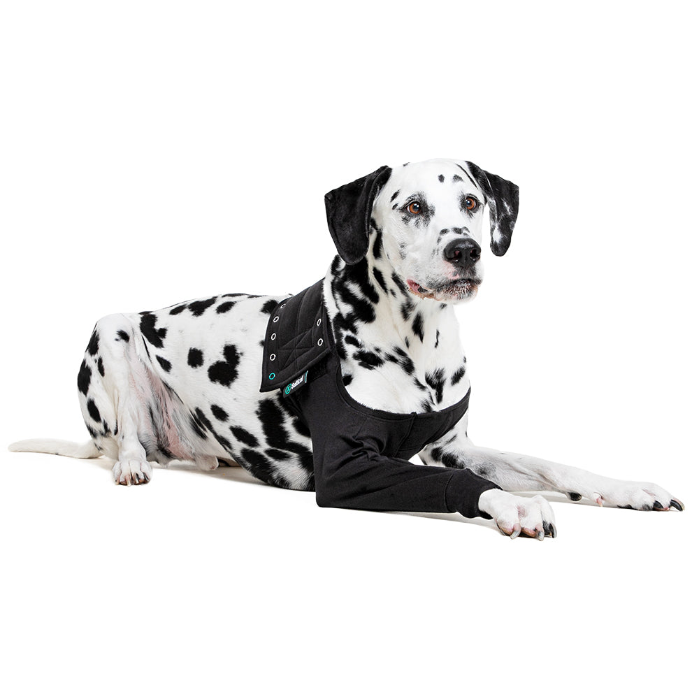 Suitical Recovery Sleeve® Dog