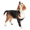 Load image into Gallery viewer, Suitical Recovery Sleeve® Dog
